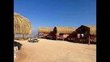 كامبات بيئية