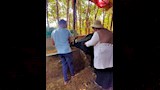 تحصين ربع مليون رأس ماشية ضد الأمراض الوبائية (7)