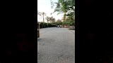 الوافدين على عزاء محمد مرزبان بالملابس البيضاء (2)