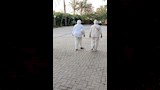 الوافدين على عزاء محمد مرزبان بالملابس البيضاء (3)