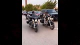 توافد البايكرز على عزاء الفنان محمد مرزبان (1)
