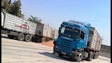 بالصور- أسوان تواصل حصاد "الذهب الأصفر" وتوريد 162 ألف طن للصوامع
