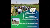 الزراعة تستعرض جهود دعم المزارعين وتعزيز الأمن الغذائي   (3)
