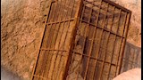 تمثال المسخوطة (1)