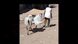 عجوز يصطحب حماره للحصول على جركن مياه نظيف بالفيوم_15