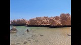 محمية رأس محمد (8)