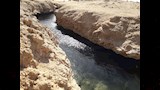 محمية رأس محمد (1)