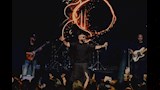 حفل أحمد سعد في لوس أنجلوس (10)