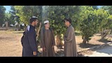 طلاب الشهادة الثانوية الازهرية  (6)
