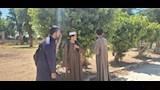 طلاب الشهادة الثانوية الازهرية  (7)