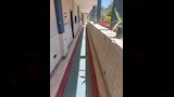 لجان واستراحات الثانوية العامة بالإسكندرية (24)_24