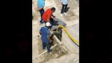 إنقاذ رفات بناة الإسكندرية في مقبرة الشاطبي (1)