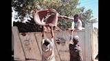 حملة رفع الإشغالات (1)
