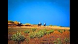 محمية نبق _10