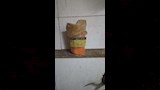 ضبط صبغة محظورة تستخدم في تلوين اللي والفول السوداني ببني سويف (5)