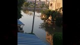 جهاز أكتوبر الجديدة يعلن إصلاح كسر خط الطرد الرئيسي بعد تجمعات المياه بالشوارع (4)