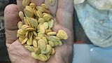 حملة تموينية اسيوط