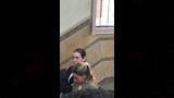 جيهان الشماشرجي من داخل قاعة المحكمة
