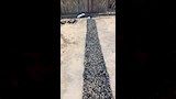 رفع كفاءة ورصف كوبري أرض اللواء في الجيزة (3)