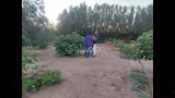 الجني في الصباح الباكر