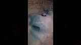 طابونة الخبز القديمة