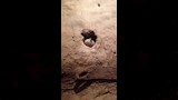 مكان حفظ الفخار