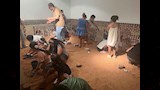 الجانب العملي