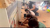 علماء آثار في عمر الزهور.. أسرار "البعثة الصغيرة" بمتحف شرم الشيخ -صور