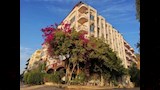 Golden Rose Hotel