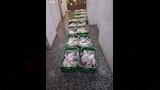 تموين أسيوط يضبط 425 كيلو أسماك فاسدة داخل سيارة (2)