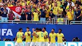 خلال مباراة البرازيل واسكتلندا (4)