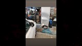 كواليس حادث الفنان طارق النهري (1)