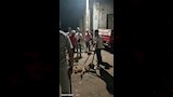 هجوم كلب على أهالي قرية بهناي بالمنوفية (2)