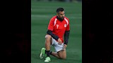 تريزيجية 
