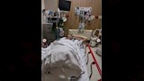 آيدا القصي في المستشفى