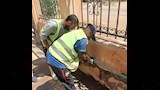 حملات إزالة مخالفات البناء بالمدن الجديدة (2)