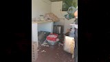 ضبط مواد غذائية فاسدة في الإسكندرية (3)