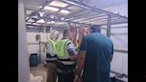 ضبط مواد غذائية فاسدة في الإسكندرية (8)