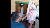 التفتيش على محلات الجزارة