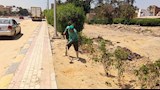 مبادرة ازرع شجرة بأبو النمرس 