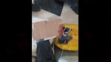 التحفظ على المضبوطات