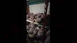 ضبط لحوم ودواجن فاسدة داخل مطاعم ببنها (3)