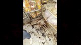 ضبط لحوم ودواجن فاسدة داخل مطاعم ببنها (2)
