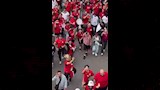 الجماهير المصري بسياتل (6) (1)