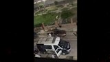 مشاجرة بالشوم والأسلحة البيضاء في بورفؤاد (23)