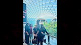الهام شاهين وليلى علوي وهالة صدقي
