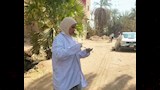 بيطرى أسوان يحصن كلاب الشوارع