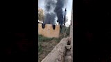 أشجار النخيل المحترقة