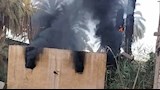 بالصور- انفجار محول كهرباء يشعل حريقًا في أشجار النخيل بأسوان