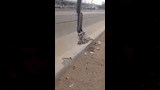 محاولة سرقة كابلات الكهرباء (3)